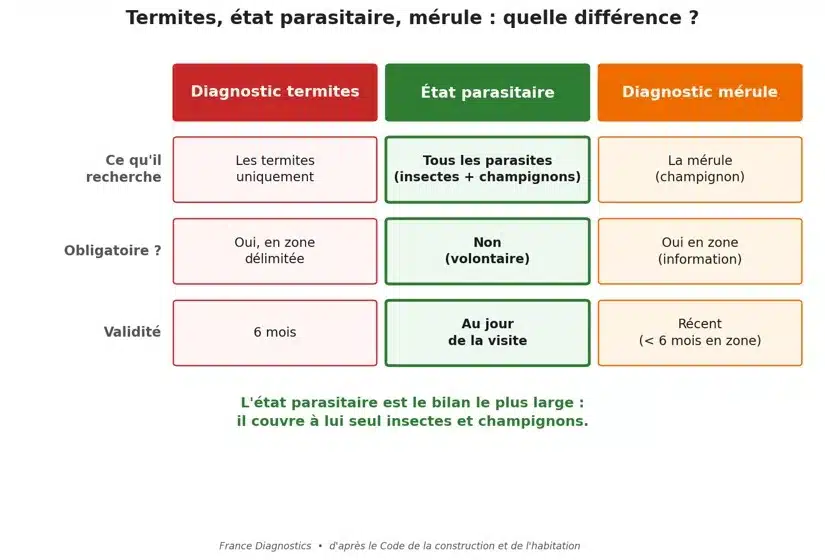 Différence état parasitaire, termite et mérules